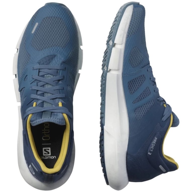 Blue Salomon Predict 2 Men's Running Shoes | PH 05267H